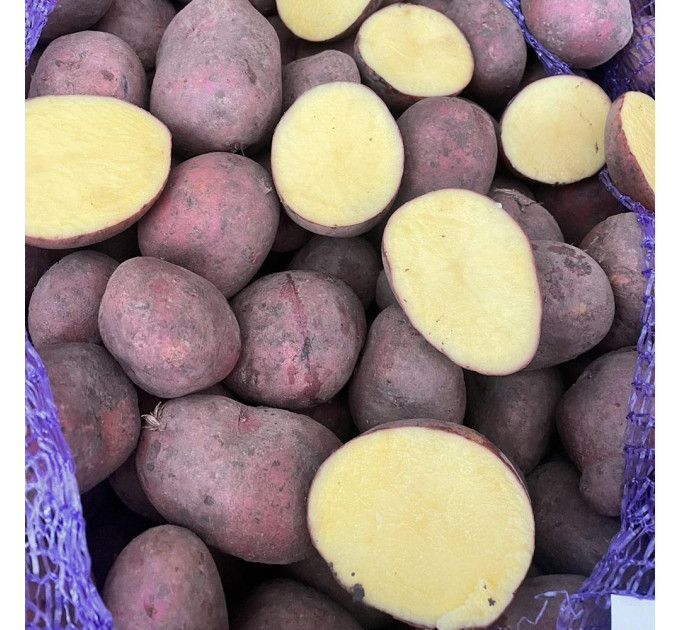 Семенной картофель Балтик Роуз, 60-90 дней 2 репродукция