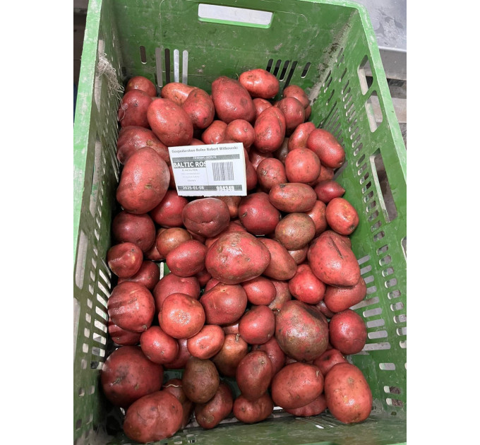 Семенной картофель Балтик Роуз, 60-90 дней 2 репродукция