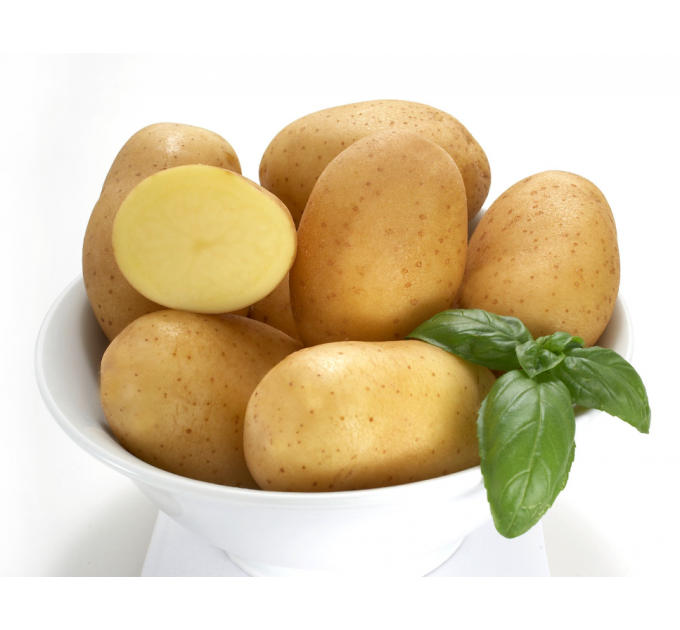 Семенной картофель Юлинка (Julinka), 2 репродукция