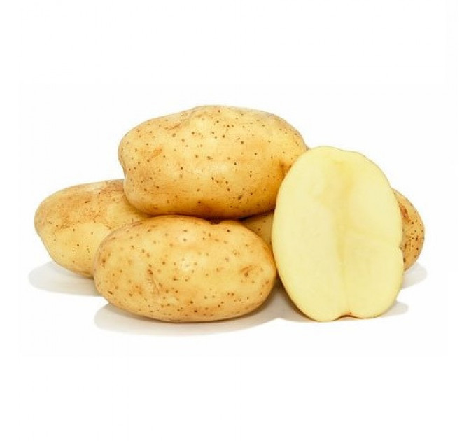 Семенной картофель Фабула (Fabula) 80-90 дней, 2 репродукция