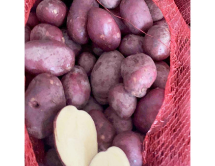 Семенной картофель Эсми, 50-60 дней 2 репродукция