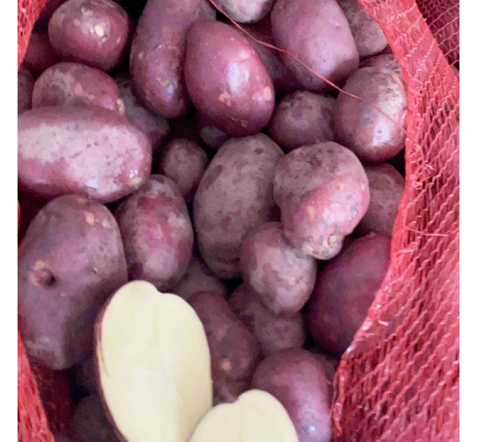 Семенной картофель Эсми, 50-60 дней 2 репродукция