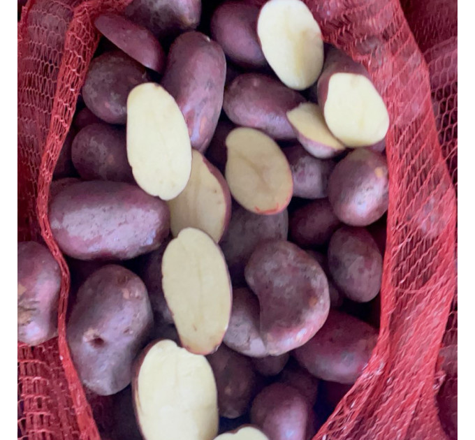 Семенной картофель Эсми, 50-60 дней 2 репродукция