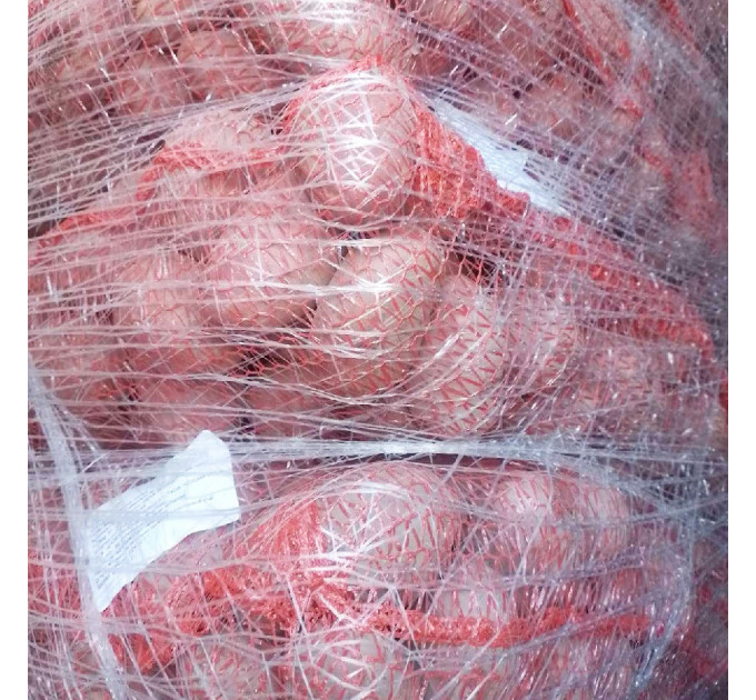 Семенной картофель Эсми, 50-60 дней 2 репродукция