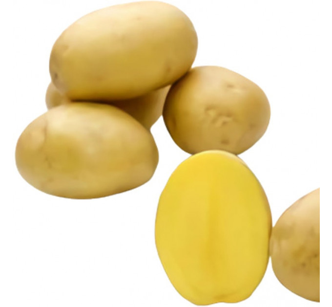 Семенной картофель Бельмонда (Belmonda) 70-90 дней, 2 репродукция