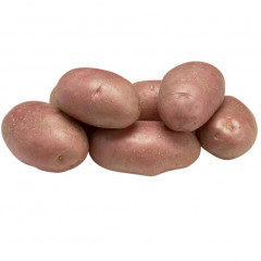 Семенной картофель Эволюшн (Evolution) 70-80 дней, 2 репродукция