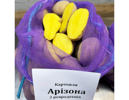 Семенной картофель Аризона, 70-80 дней, 2 репродукция