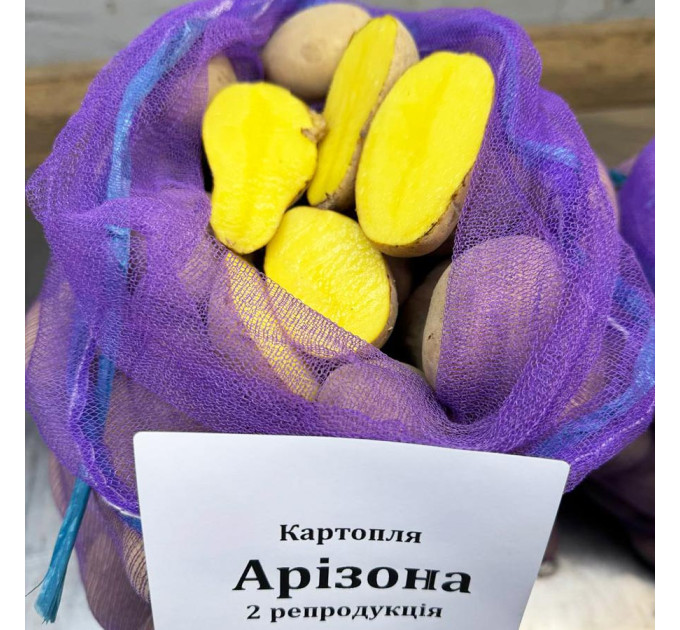 Насіннєва картопля Арізона, 70-80 днів 2 репродукція