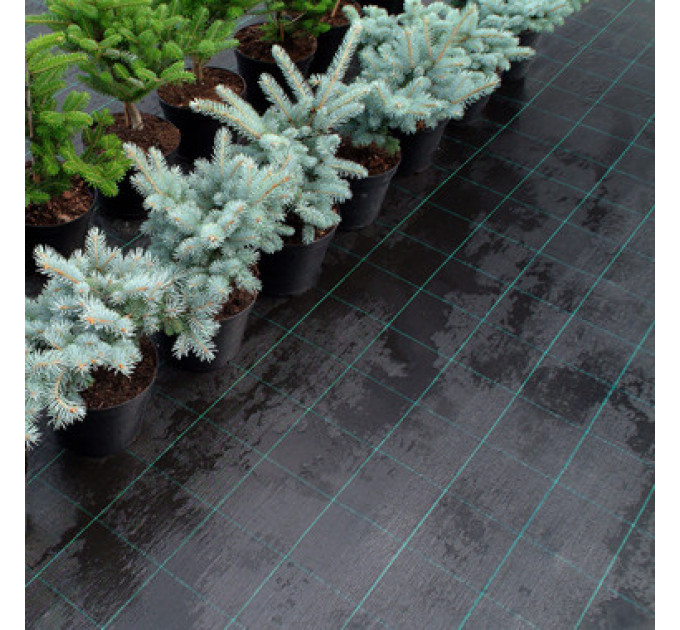 Агроткань Agrojutex 2.10*100 м 100 г/м2 Черная