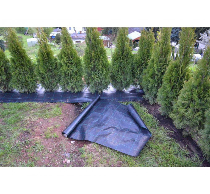 Агроткань Agrojutex 1.05*100 м 100 г/м2 Черная