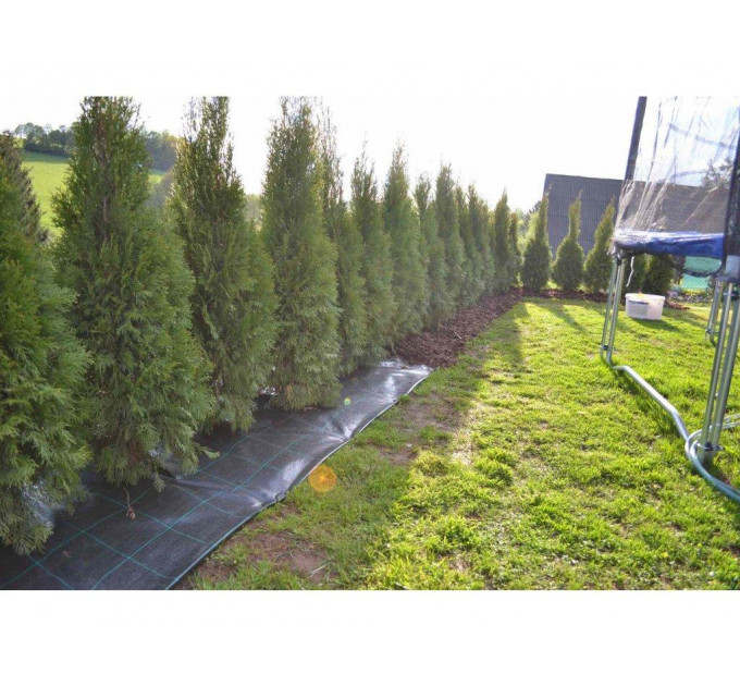 Агроткань Agrojutex 1.05*100 м 100 г/м2 Черная