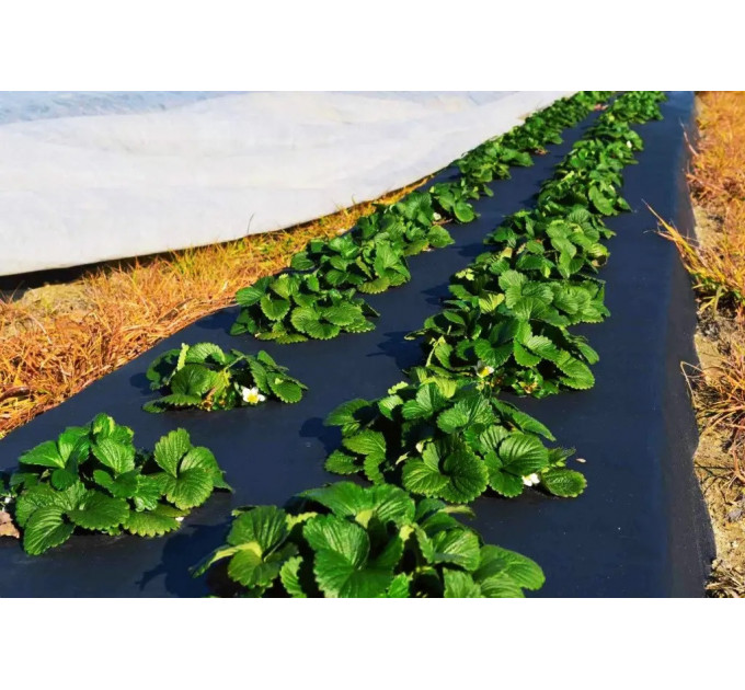 Агроволокно Greentex p-50 1.05х5 м в пакете Черное