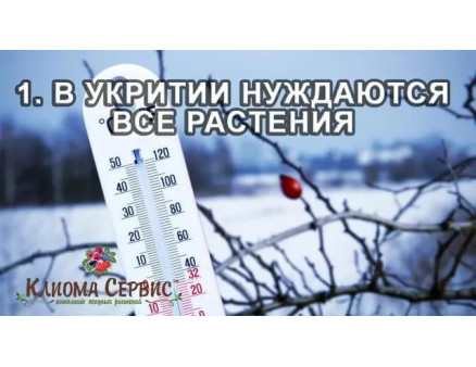 Укриття рослин на зиму - 5 помилок про зимовому укритті рослин