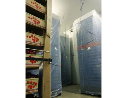 Тара для ягід з контрольованою атмосферою