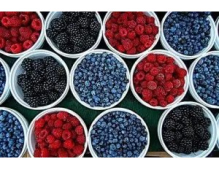 Почему так популярен ягодный бизнес?