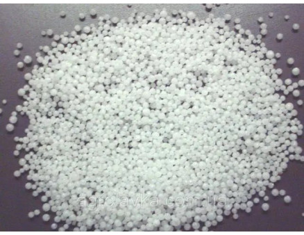 Як підготувати малину до зими: підживлення, обрізка та догляд