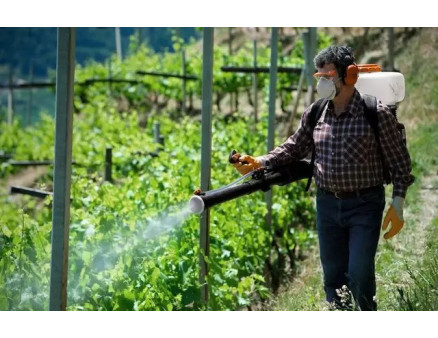 Що таке інсектициди та їх класифікація. Захист Вашого врожаю від шкідників