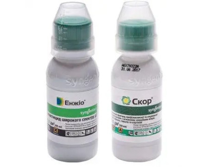 Чим обробити рослини в саду навесні для захисту врожаю від хвороб і шкідників!