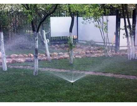 Як захистити рослини від весняних заморозків