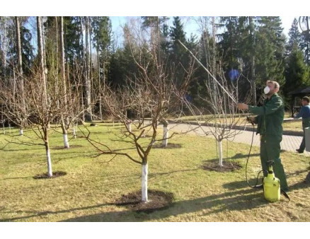 Осіння обробка саду від шкідників і хвороб. Правила і рекомендації від фахівців