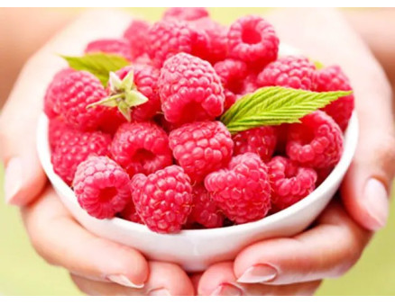 Саджанці малини: розкриваємо секрети високого врожаю!