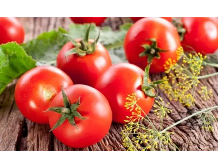 Чи можна сіяти помідори на розсаду у квітні і як це зробити?