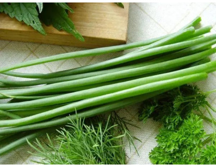 Посадка лука для "зеленого пера": как это сделать?