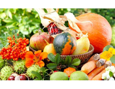 Що робити у вересні в саду та на городі?