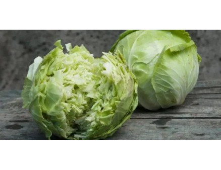 Чому тріскає капуста, та як цього уникнути?