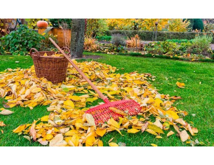 Що робити з опалим листям в саду та на дачі?