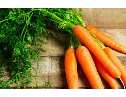 Особливості викопування та зберігання моркви