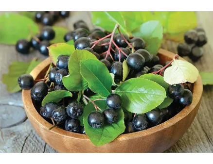 Заготовки з чорноплідної горобини на зиму: рецепти та поради