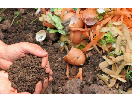 Як правильно зберігати компост взимку?