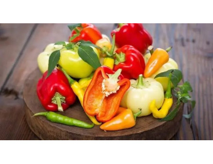 Вирощування перцю в домашніх умовах, рекомендації