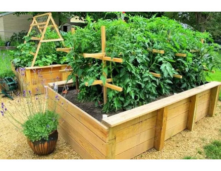 Теплі грядки: що це таке та як їх облаштувати?