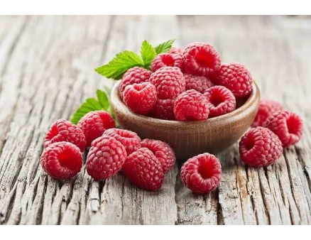 Інструкція із вирощування малини та ожини