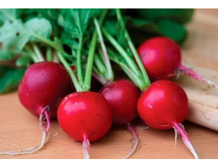 З якими проблемами ви можете зіткнутись при вирощуванні редиски?