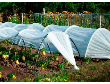 Як зробити парник із агроволокна своїми руками?