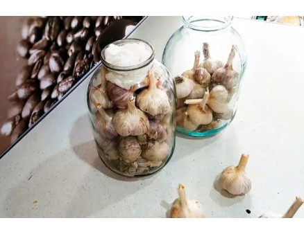 Правила зберігання часнику взимку