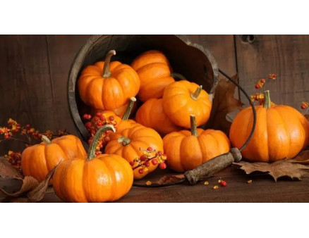 Як правильно зберігати гарбузи?