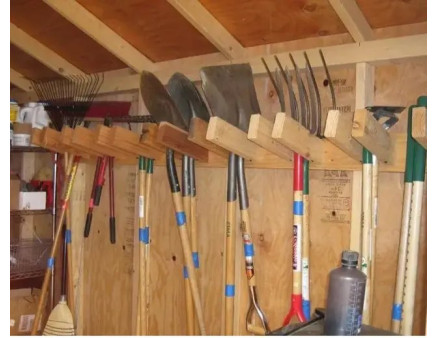 Місячний календар городника та садівника на січень 2023