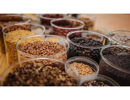 Як перевірити якість насіннєвого матеріалу? Тест на схожість насіння