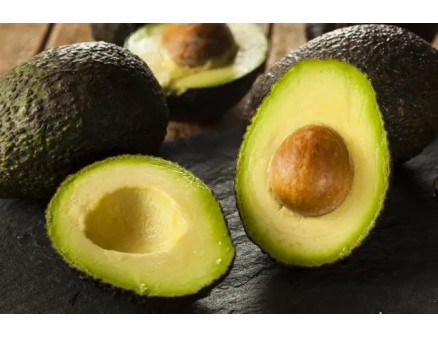 Вирощування авокадо із кісточки в домашніх умовах