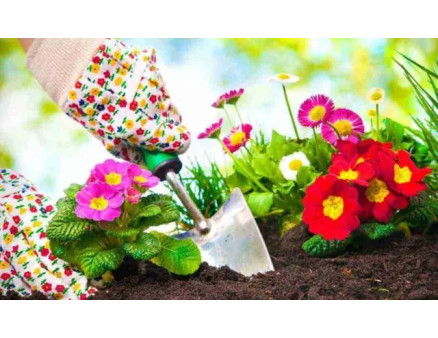 Місячний календар городника та садівника на березень 2023 року