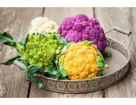 Коли та як садити цвітну капусту?