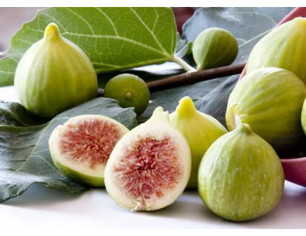 Найкращі сорти інжиру за версією Кліома Сервіс