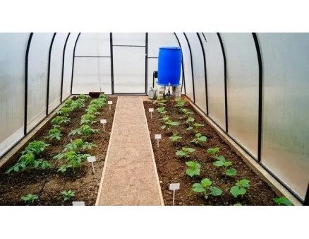 Яку систему поливу краще вибрати для теплиці?