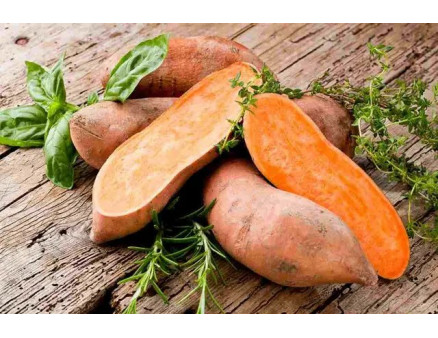 Особливості вирощування батату