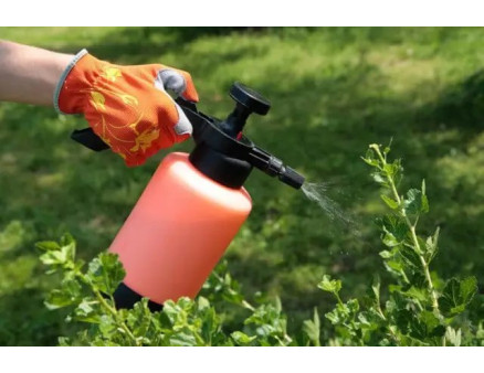 Лучшие препараты для защиты растений, которые должны быть в вашей аптечке садовода Лучшие препараты для защиты растений, которые должны быть в вашей аптечке садовода