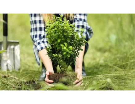 Місячний календар садівника та городника на жовтень 2023 року